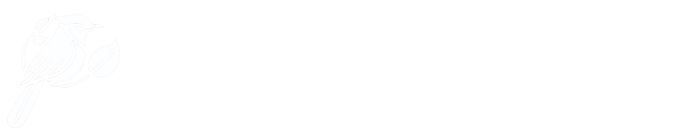 IEEE USP São Carlos